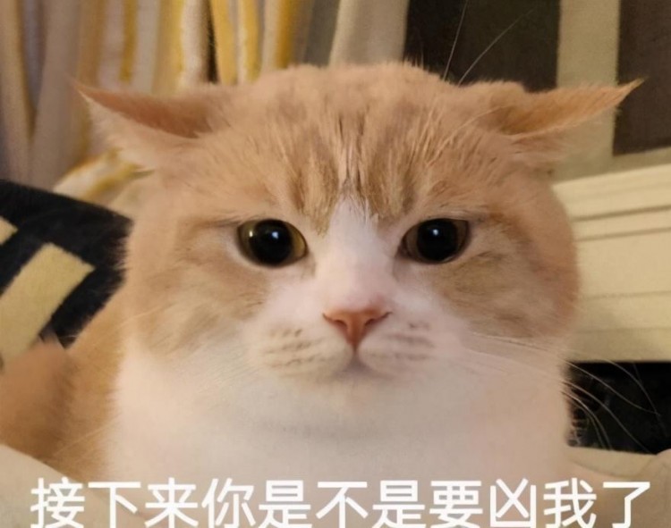 猫咪便便特别臭是什么原因？