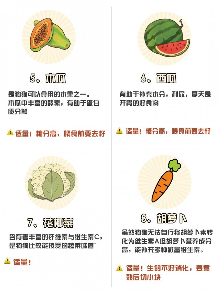 狗狗可以吃的10种人类食物尝尝鲜